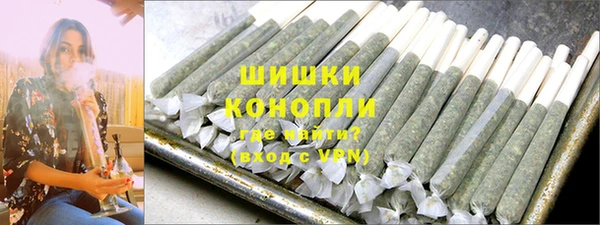 гашик Гусиноозёрск