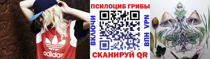 Галлюциногенные грибы GOLDEN TEACHER  Жиздра 
