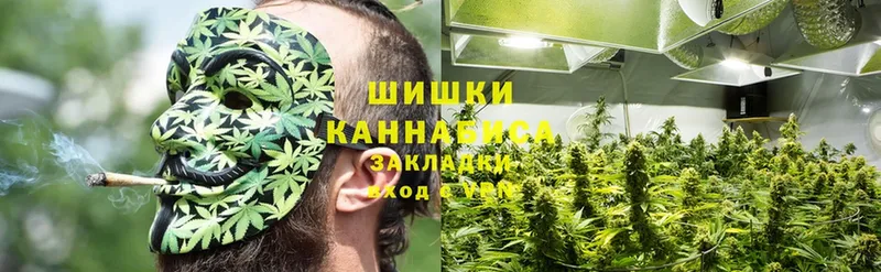 Каннабис SATIVA & INDICA  Жиздра 